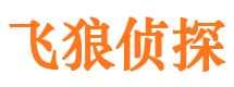 内丘飞狼私家侦探公司